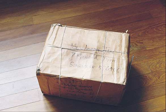 В молдавском аэропорту обнаружили СВУ с Украины (ФОТО) | Русская весна