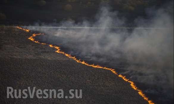 BLITZ: Brand in Tschernobyl - FOTOS und VIDEO | Русская весна