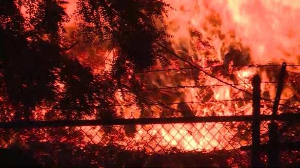 В США природные пожары уничтожили сотни домов, тысячи людей эвакуированы (ВИДЕО) | Русская весна