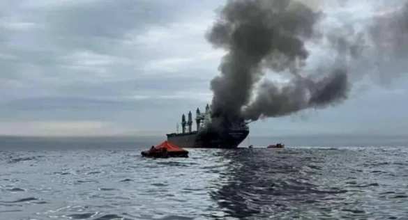 Ещё одно судно врага поражено у берегов Одессы (ФОТО) | Русская весна