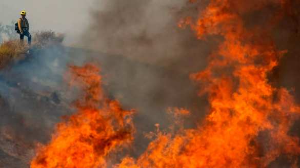 Калифорния пылает: эвакуированы тысячи людей (ФОТО, ВИДЕО) | Русская весна