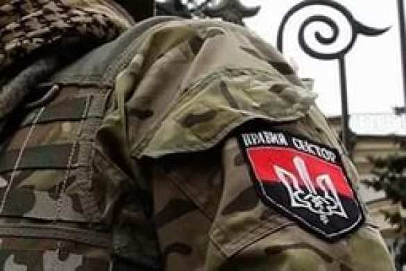 В Киеве взорвали гранатой офис «Правого сектора» | Русская весна