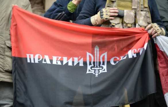 ЛНР: Что сделал «Айдар» и «Правый сектор» с поселком Сокольники (ВИДЕО) | Русская весна