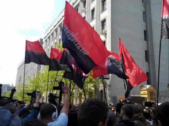 Die Welt: Украинские праворадикалы выступают против Киева | Русская весна