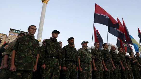 NI: «Правый сектор» представляет опасность для интересов США на Украине | Русская весна