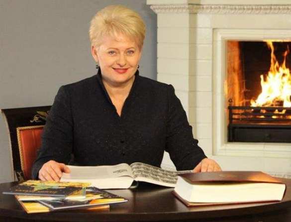 МИД РФ: высказывания президента Литвы превосходят самые экстремистские заявления национал-радикалов в Киеве | Русская весна