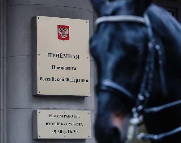 Лошадь привезла в приемную Путина подписи в защиту ипподрома (ФОТО) | Русская весна