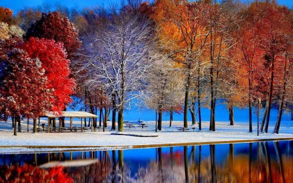 Россиянам пообещали необычный ноябрь | Русская весна