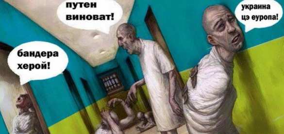 В Совфеде высмеяли фантазии Киева о «возвращении» Крыма и Донбасса | Русская весна