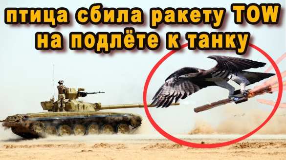 Птица сбила выпущенную по танку американскую ракету (ВИДЕО) | Русская весна
