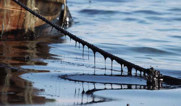 Экологическая катастрофа под Херсоном: нефтепродукты из затонувшей баржи угрожают загрязнением пресной воды в Каховском водохранилище (ФОТО) | Русская весна