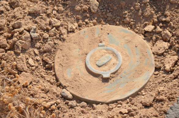 Минные поля России на пути наступления тормозят и уничтожают ВСУ — New York Times | Русская весна