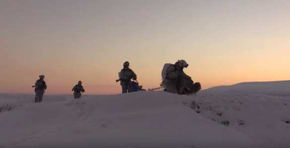 На Крайнем Севере разведчики Северного флота учатся использовать оленьи и собачьи упряжки (ВИДЕО) | Русская весна