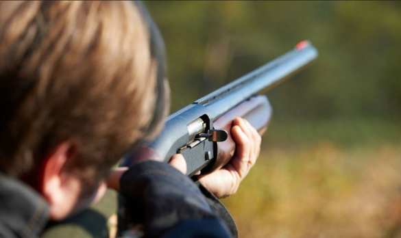 Кровавая бойня под Бором: что известно об убийце (ФОТО) | Русская весна