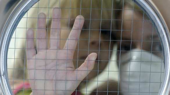 Вспышка опасной инфекции зафиксирована в школе Харьковской области | Русская весна