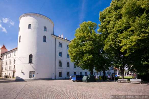 На газоне дворца президента Латвии появилась свастика (ФОТО) | Русская весна