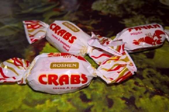 Фабрика Порошенко назвала конфеты именем лобковых вшей (ФОТО) | Русская весна