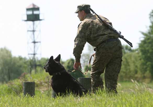 Посольство РФ прокомментировало данные о гибели российских пограничников в Армении | Русская весна