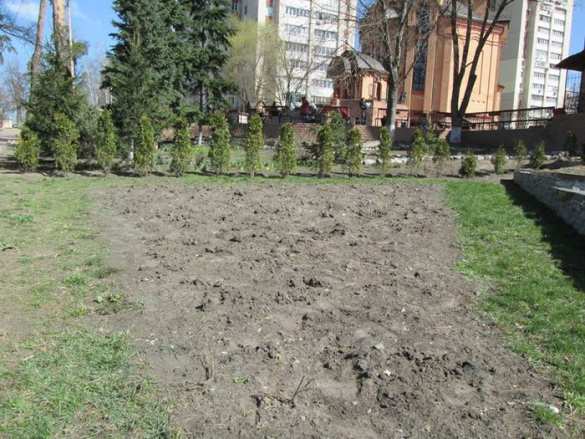 На Украине в парках начали выкапывать растения на продажу (ФОТО) | Русская весна