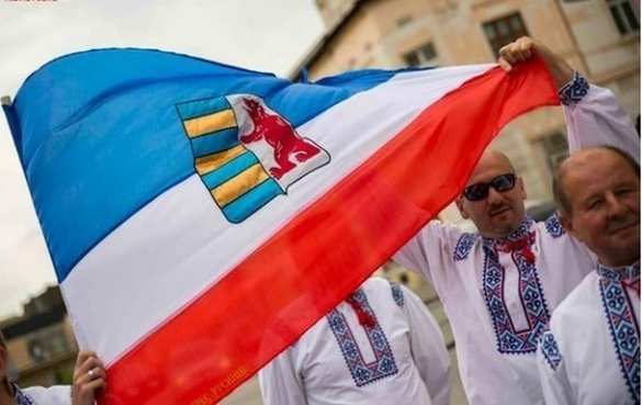 Депутаты Европарламента готовят на Закарпатье провокацию, — губернатор | Русская весна