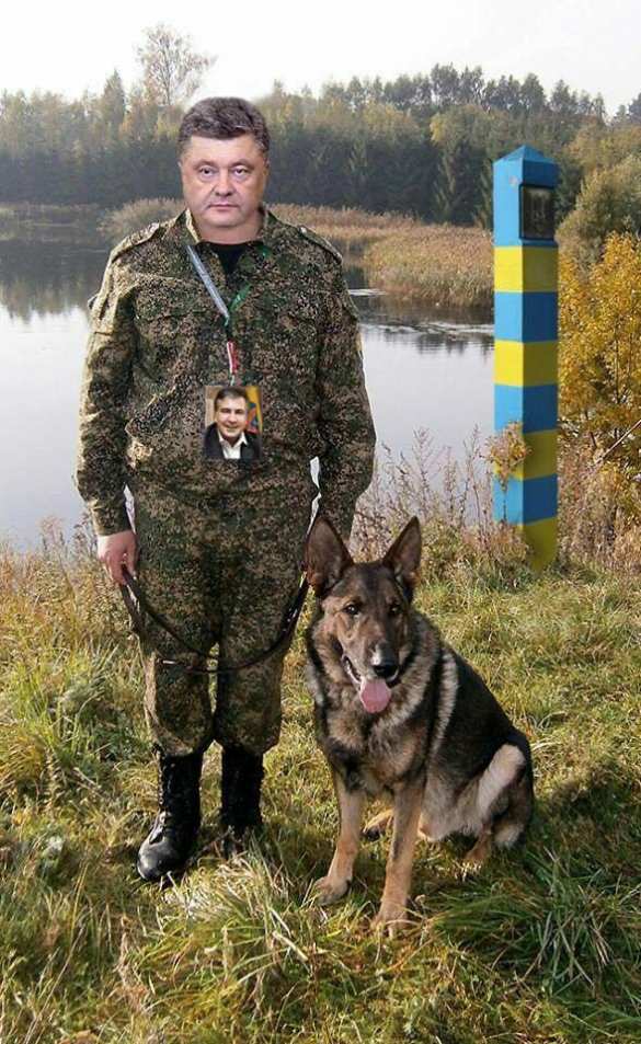 США собираются «впихнуть» Саакашвили на Украину в качестве своего спецпредставителя, — источник | Русская весна