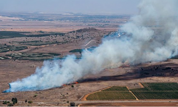 На Украине фактически признали сбитие самолёта с пленными всушниками | Русская весна
