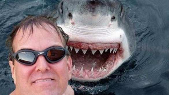 СМИ: в 2015 году от «селфи» умерло больше людей, чем от нападения акул | Русская весна