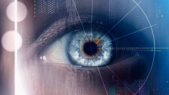 Слепые прозреют: российские генетики «ремонтируют» нейроны глаза (ФОТО) | Русская весна