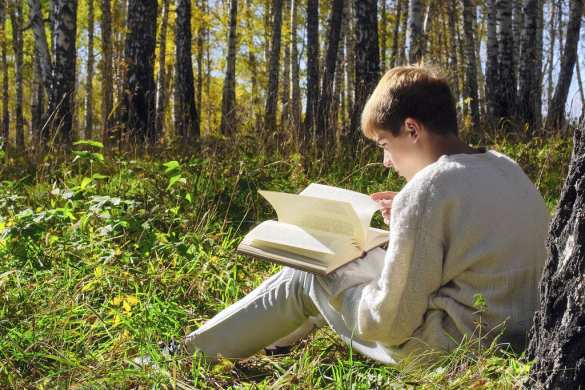 Безграмотность способна подорвать демократию: 10 млн немцев фактически не умеют читать | Русская весна