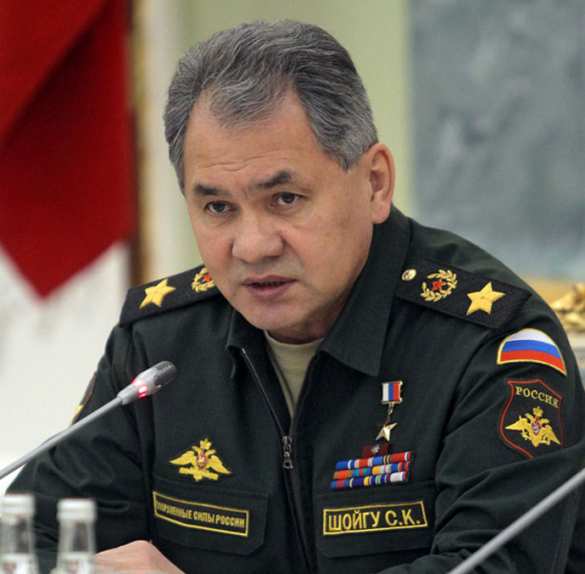 Шойгу подвел итоги операции ВКС РФ в Сирии | Русская весна
