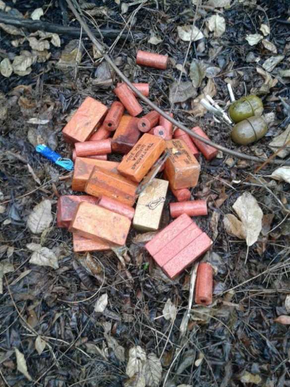 Семь бандитских закладок с оружием и боеприпасами уничтожено в Ингушетии | Русская весна