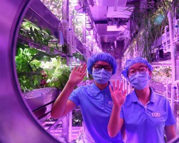 Четверых китайцев «отправили на Луну» (ФОТО) | Русская весна