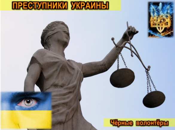 Убийцы, воры и наркокурьеры — об украинских «псевдоволонтёрах» (ВИДЕО, ИНФОГРАФИКА) | Русская весна