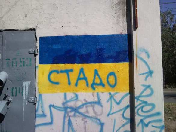 Николаев против украинского фашизма: свастики, «каратели» и «нацисты» на стенах (фото) | Русская весна