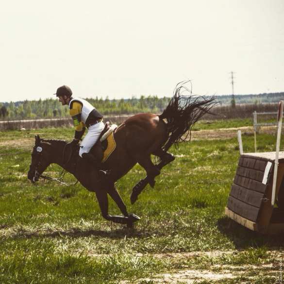 В Белоруссии на соревнованиях по конному спорту погиб российский спортсмен (+ВИДЕО, ФОТО) | Русская весна