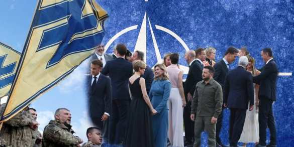 Зеленского пригласили на саммит НАТО «с дипломатическим понижением в должности» | Русская весна