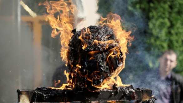 В Черновцах сожгли чучело Порошенко (ФОТО) | Русская весна