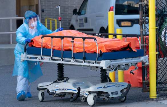 Таинственный документ: В США опубликовали прогноз «Белого дома» по росту ежедневной смертности от коронавируса | Русская весна