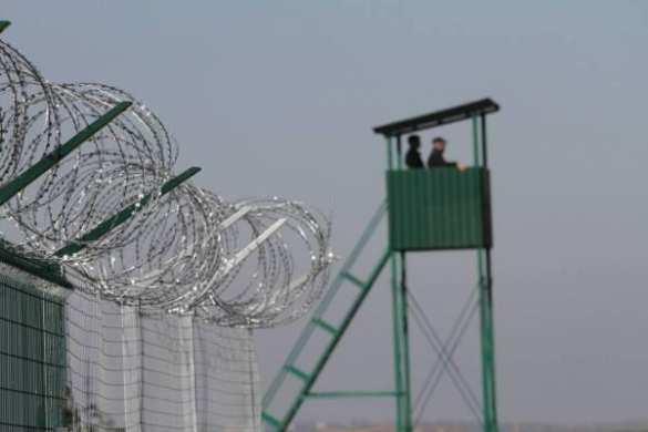 Стена на границе: теперь строить собралась Польша | Русская весна