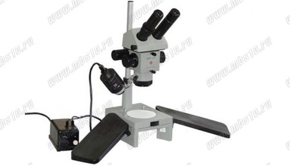 Стереоскопический микроскоп | Русская весна