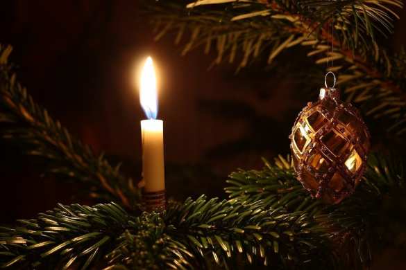 «А зачем отопление?» — немцы в шоке от советов политика по экономии энергии | Русская весна