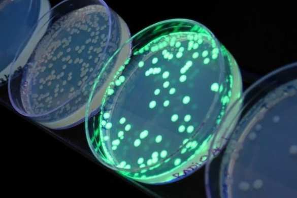 Российские ученые создали уникальную технологию тестирования лекарств | Русская весна