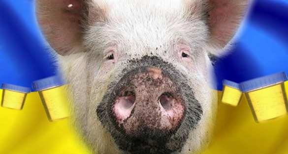 Украина уже не та: страна потеряла статус экспортера свинины | Русская весна