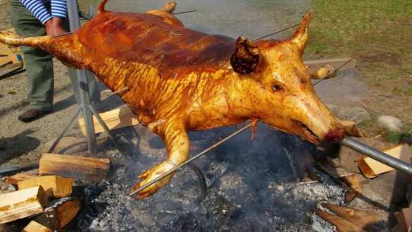 Зрада: украинцы недоедают свинины — не хватает денег | Русская весна