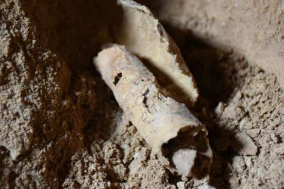 В вашингтонском Музее Библии нашли целую коллекцию поддельных «артефактов» (ФОТО) | Русская весна