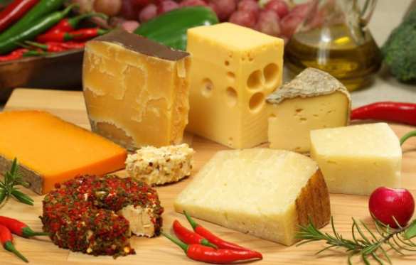 Роспотребнадзор запретил импорт сыров из Польши | Русская весна