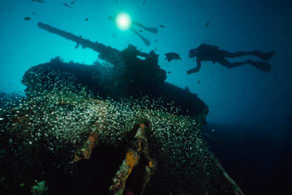 На Донбассе украинские танки «потопили корабли противника» (+ФОТО, ВИДЕО) | Русская весна