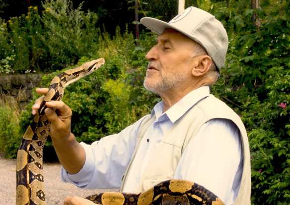Мне приятно быть в одном ряду с Лановым и Кобзоном, — телеведущий Дроздов о включении в базу «Миротворца» | Русская весна