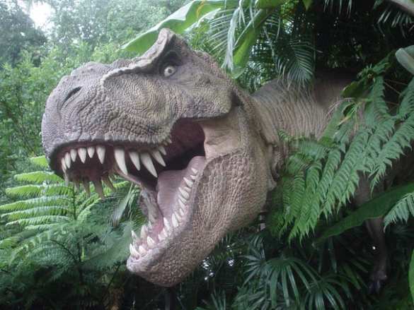 В США найден череп тиранозавра (ФОТО, ВИДЕО) | Русская весна