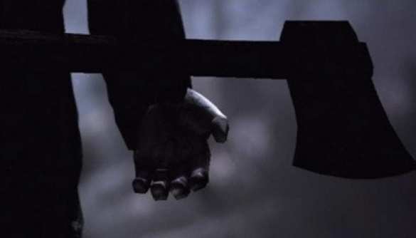 «Чёрные лесорубы» избили и пытали журналиста подо Львовом (ФОТО, ВИДЕО) | Русская весна